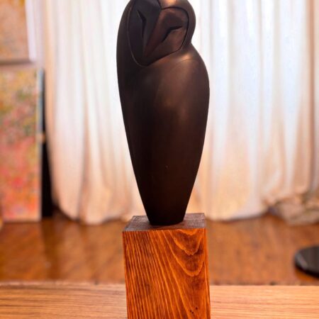 Шар шувуу (2025)