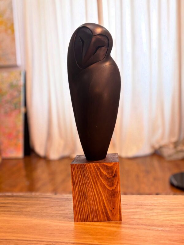 Шар шувуу (2025)